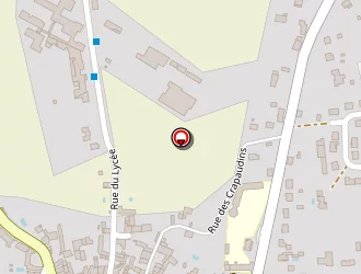 Carte de Saubion Didier à Thuré