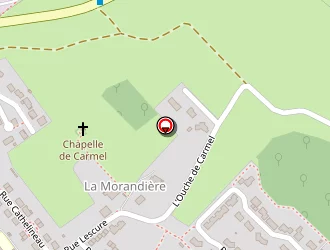 Carte de Vrignaud Olivier à Flocellière (la)