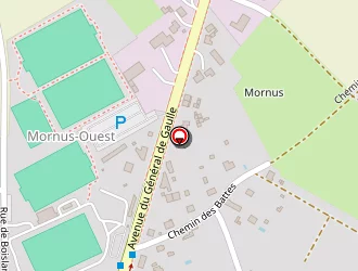 Carte de Debris Franck à Déols