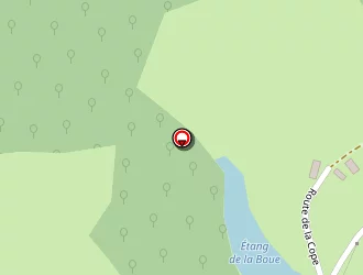 Carte de Branchereau Christophe à Rémilly