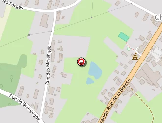 Carte de Tschanz Thierry à Chaumergy