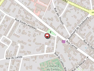 Carte de Thuaud Jean-luc à Challans