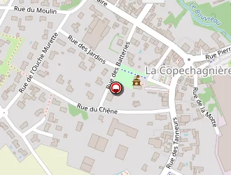 Carte de Les Bruyères à Copechagnière (la)