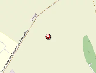 Carte de P.g.a. Electronic à Montierchaume