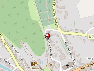 Carte de Synoptical à Châteauneuf-sur-cher