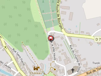 Carte de Levif Jacques à Châteauneuf-sur-cher