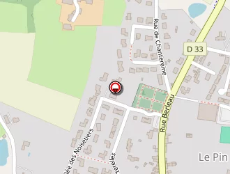 Carte de Castillan Johnny à Pin (le)