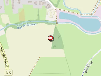 Carte de Chalon Transports à Gergy