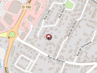 Carte de Rondeau Loïc à Herbiers (les)