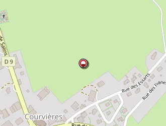 Carte de Bringard Adrien à Courvières