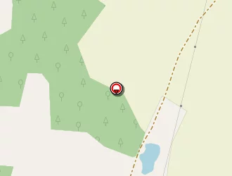 Carte de Talon Jean à Pin (le)