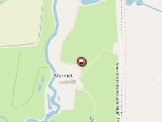 Carte de Vision Plus Romane Claude Adhérent à Bressuire