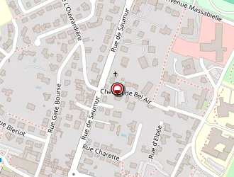 Carte de Manceau Olivier à Herbiers (les)