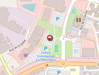 Carte de Raud Béatrice à Herbiers (les)