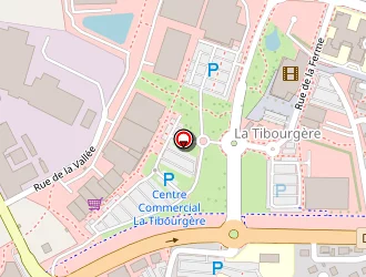 Carte de Etam à Herbiers (les)