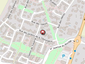 Carte de Optesys à Herbiers (les)