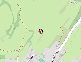 Carte de Benoit Denis à Pupillin