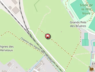 Carte de Pigeonneau Jacky à Buzançais