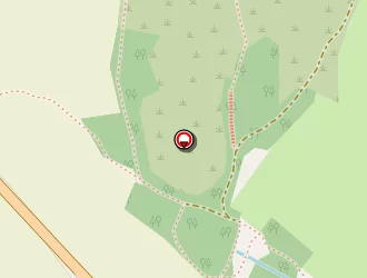 Carte de L'orchidée à Herbiers (les)