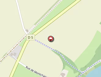 Carte de Petit Raphaël à Gergy