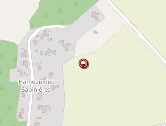 Carte de Thibaud Patrick à Saint-gervais