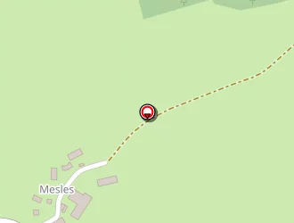 Carte de Veltkamp Edith à Larochemillay