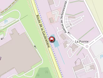 Carte de Cosika à Herbiers (les)