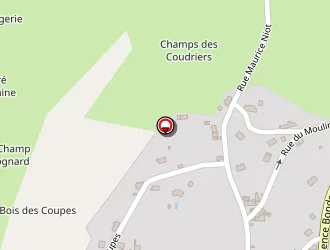 Carte de Fischer Lionel à Machine (la)