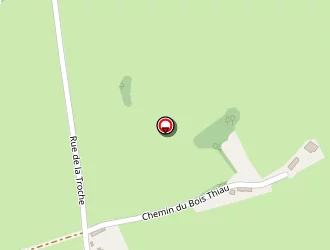 Carte de Orchis à Saint-émiland