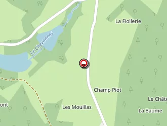 Carte de Bois Forêt Conseils à Saint-honoré-les-bains