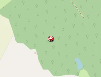 Carte de Beaufreton Jean-michel à Mauléon