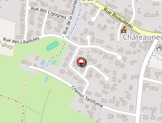 Carte de Besseau Michel à Châteauneuf