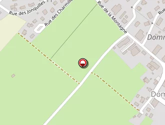 Carte de Rapid'services à Dommartin