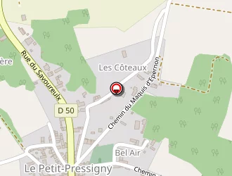 Carte de La Poste à Petit-pressigny (le)