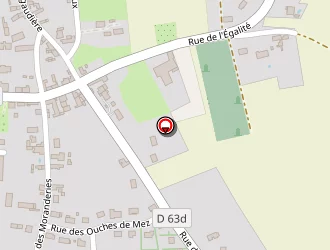 Carte de Loiseau Eric à Saint-genou