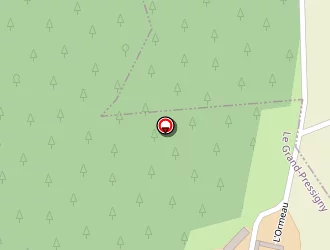 Carte de C J P à Grand-pressigny (le)