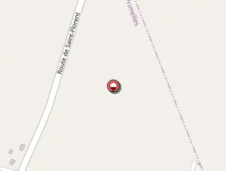 Carte de Mairie à Primelles