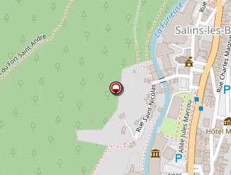 Carte de Schweitzer Guy à Salins-les-bains