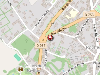 Carte de L'estheti'chien à Rocheservière