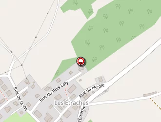 Carte de Chauvin Georges à Pontarlier