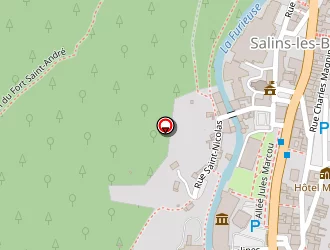 Carte de Vision Plus à Salins-les-bains