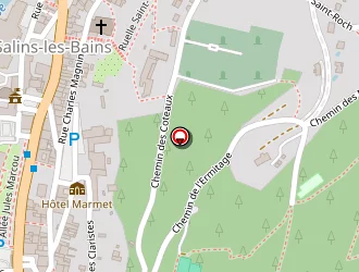 Carte de Bully Henri à Salins-les-bains