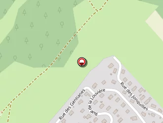 Carte de Du Cret (earl) à Vuillecin