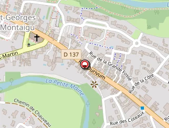 Carte de Le Rhun Rozenn à Saint-georges-de-montaigu