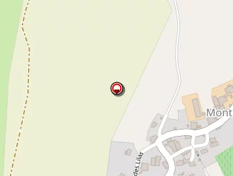 Carte de Vigneron Frédéric à Saint-cyr-montmalin