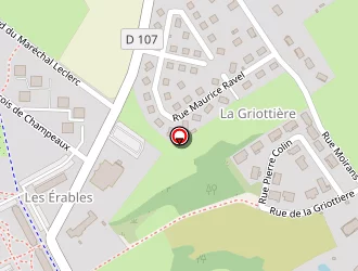 Carte de Rapid' Taxis à Autun