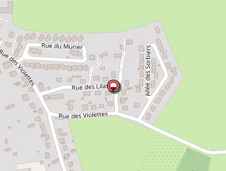 Carte de Rodrigues à Sermoise-sur-loire