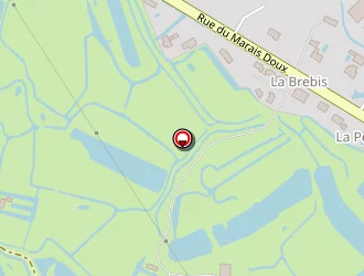 Carte de Paire E à Bouin