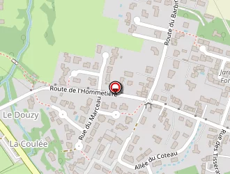 Carte de Caillaud Didier à Vieillevigne