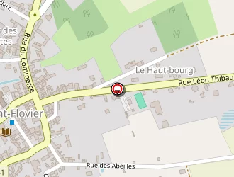 Carte de Leclerc Daniel à Saint-flovier